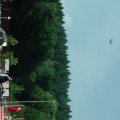 IMGA0011